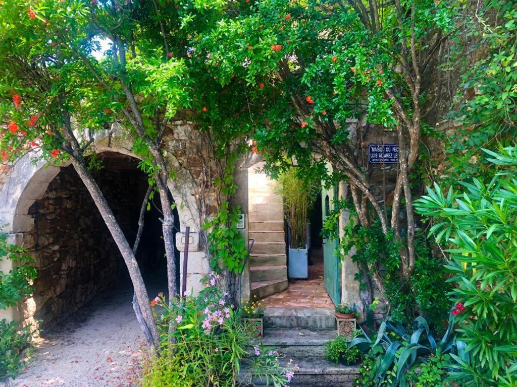 Mas Luis Alvarez La Capelle-et-Masmolene エクステリア 写真